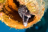 Macro World : 