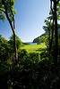 Maui, Hawaii : 
