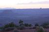 Marty Everhard > The Desert >  IMG_1900 Colored Desert