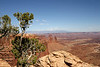 Marty Everhard > The Desert >  IMG_1545 View Beyond Mesa Arch