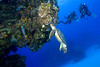 Cozumel : 