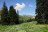 Summer In The Wasatch Front : 
